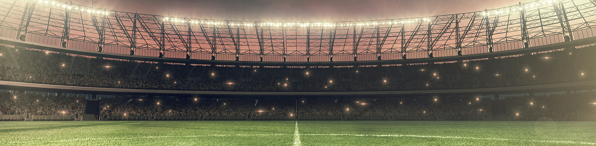 Sports Disputes and Investigations