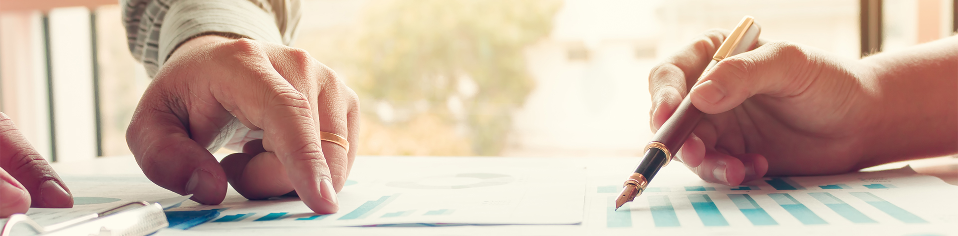 Professional Services