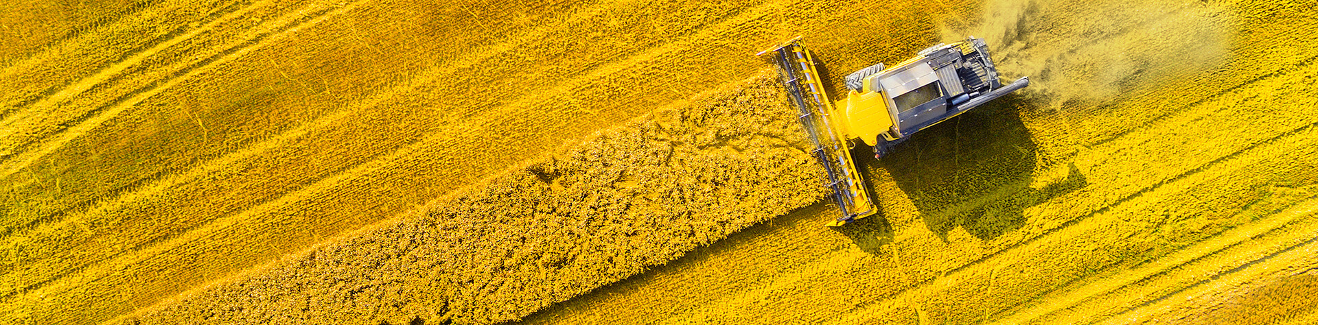 Agriculture